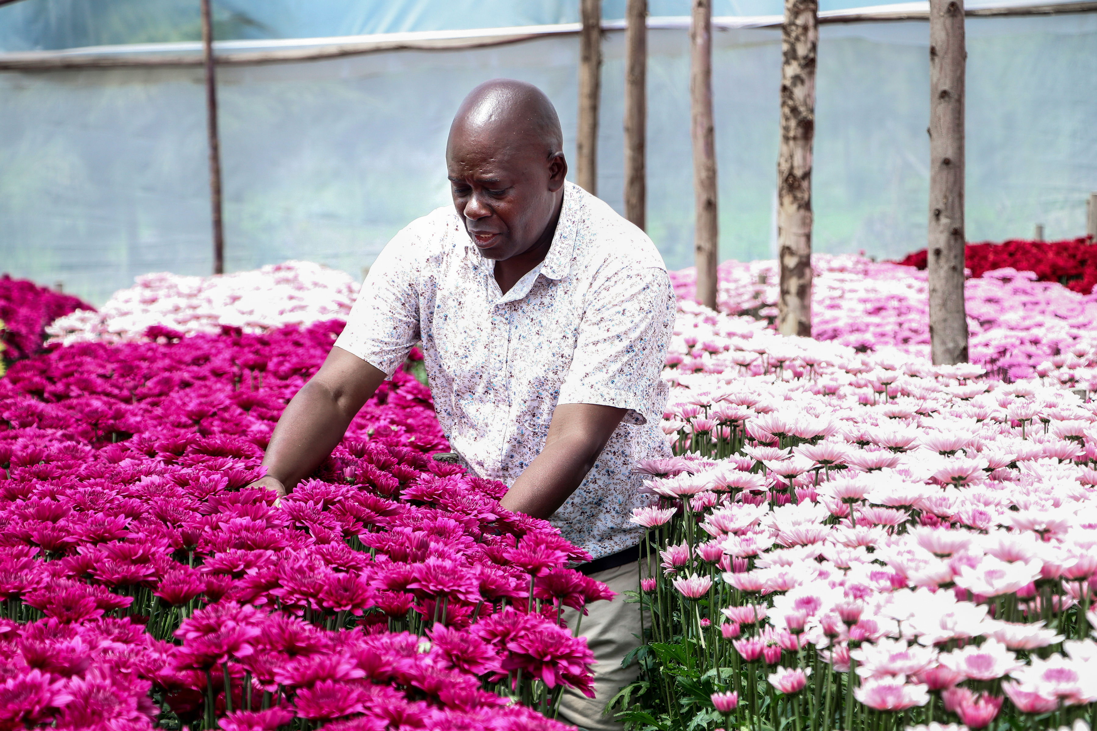 Cenacle Kenya director inspecting flowers